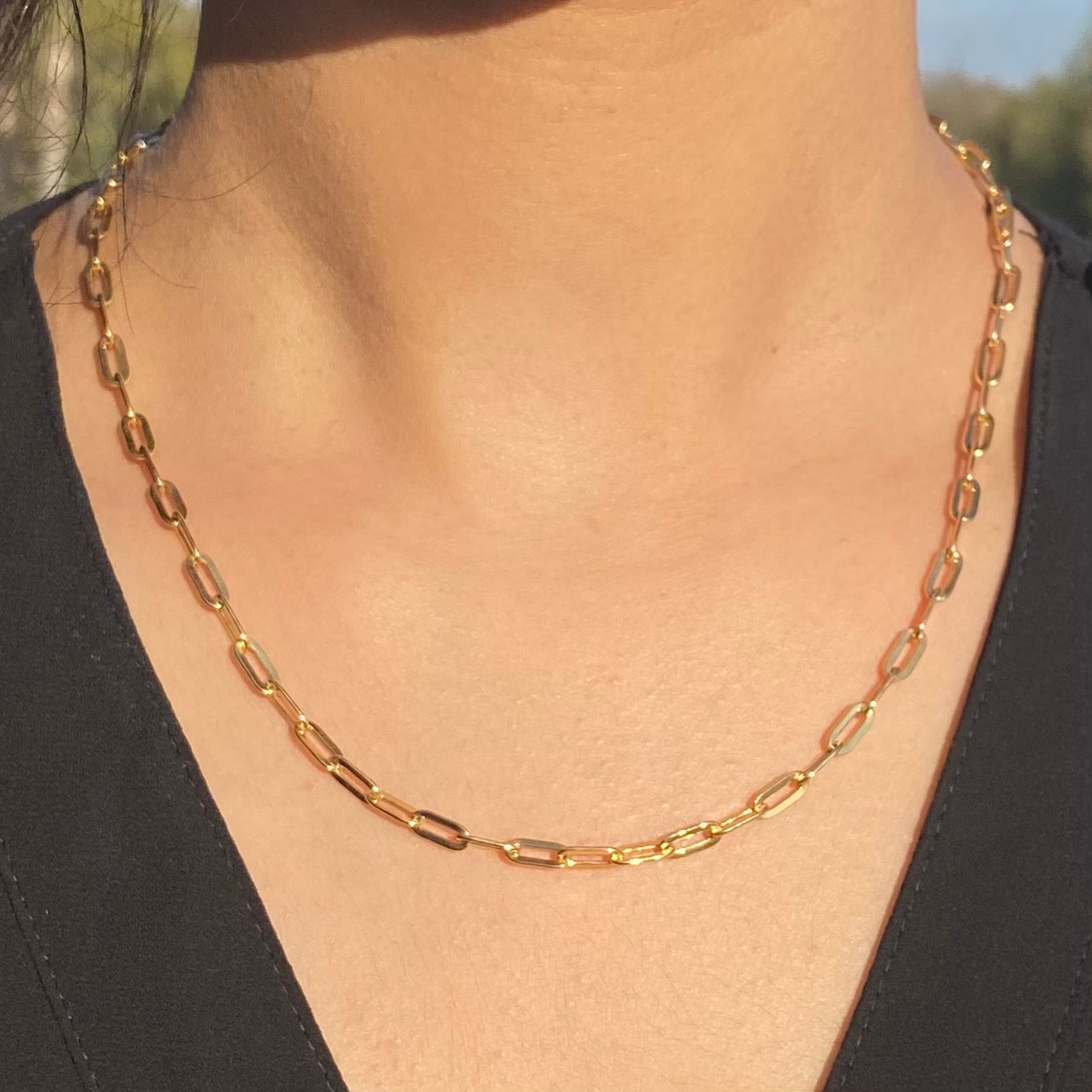 Paper Clip Necklace